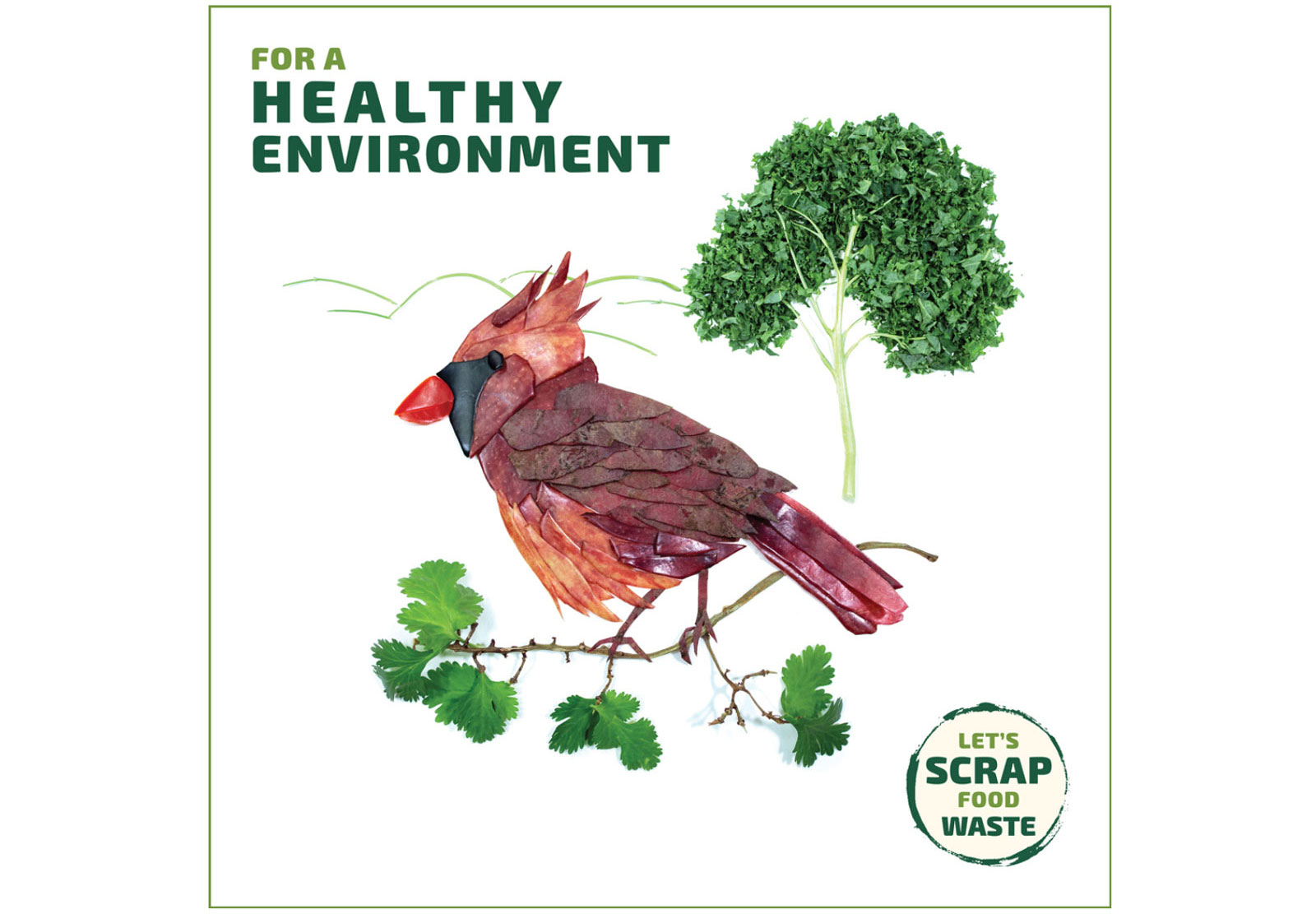 Scrap Food Waste - Bird