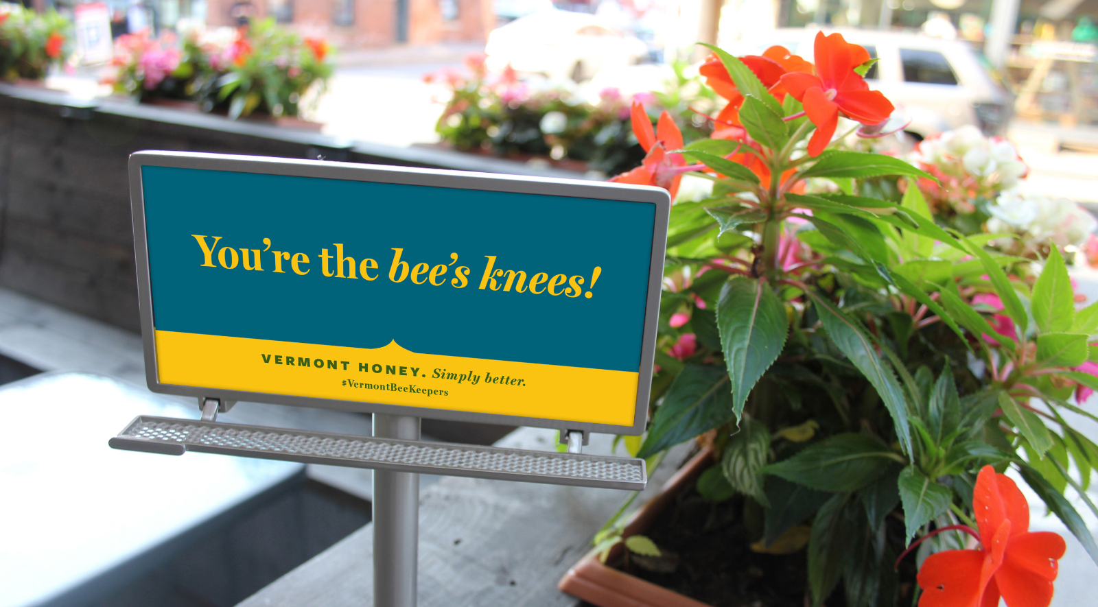 Vermont Honey Tiny Bill Board: Bees Knees
