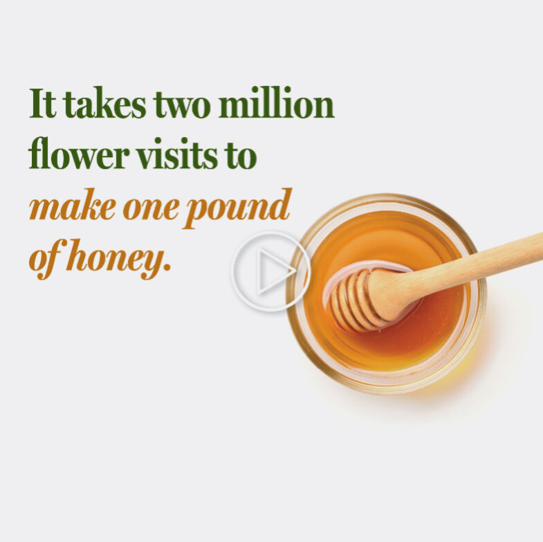 Vermont Honey - It takes two million flower visits